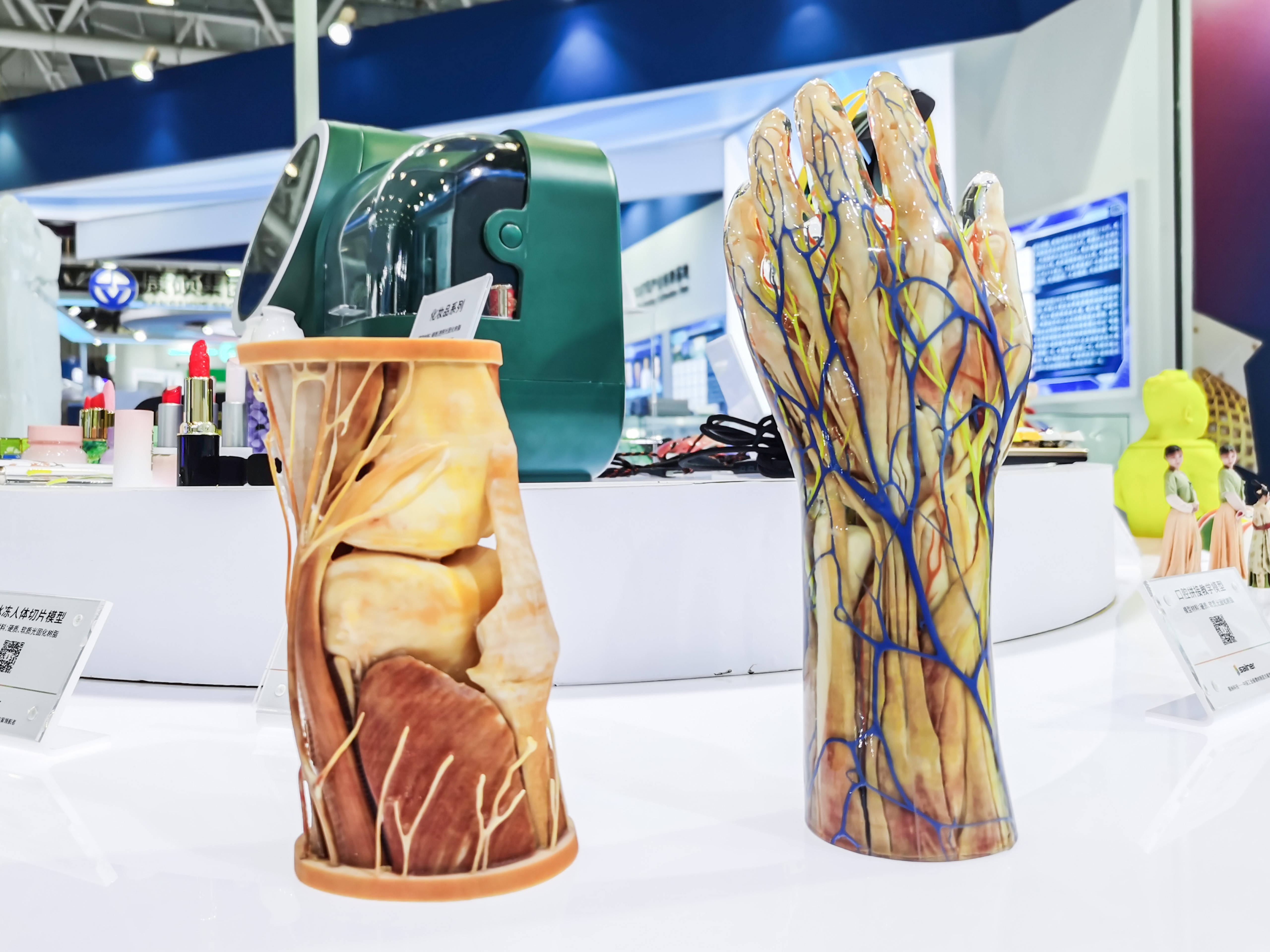 從虛擬到現實：3D打印醫學模型如何顛覆傳統醫學教育